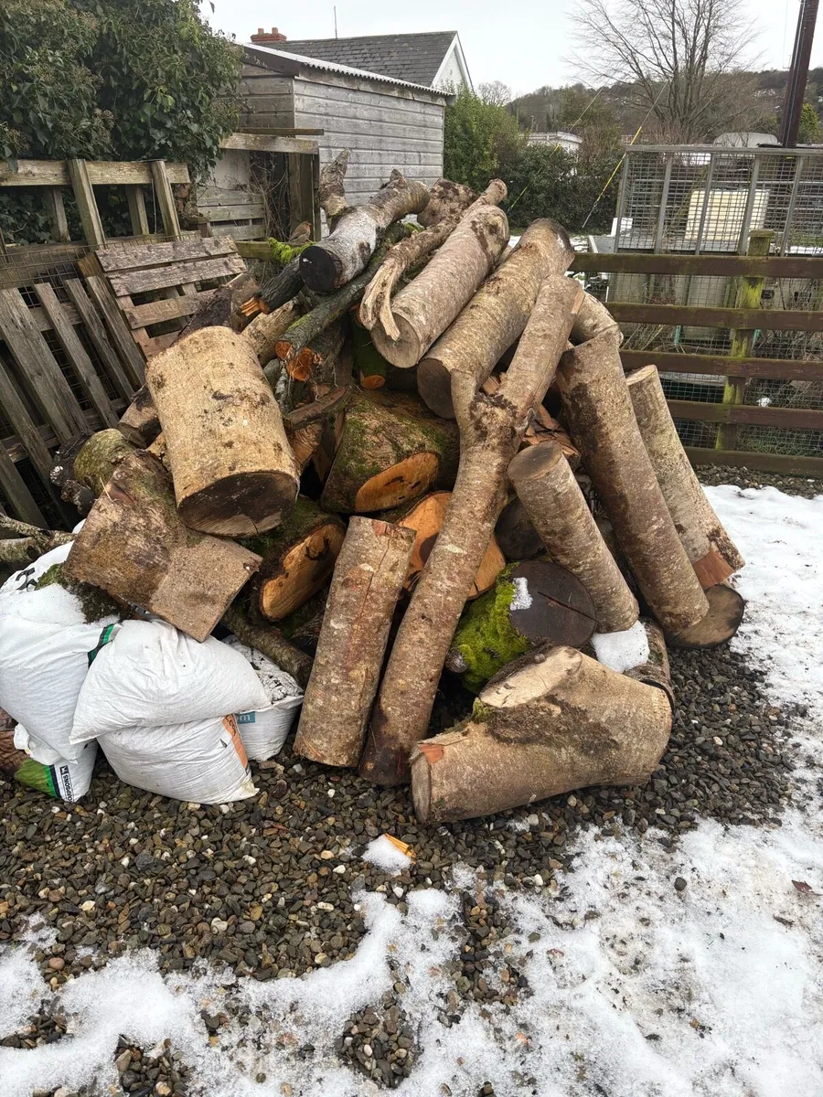 Logs / Firewood - Image 2