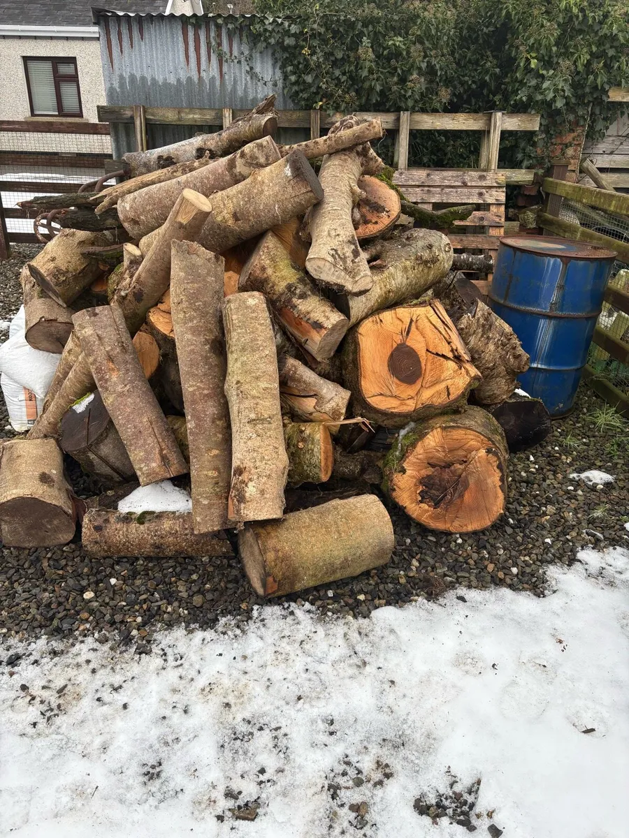 Logs / Firewood - Image 1