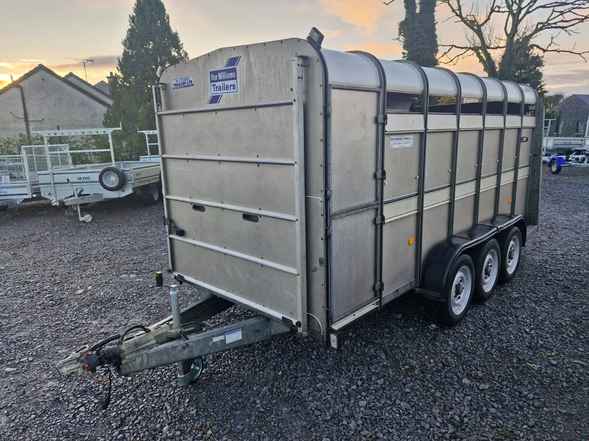 IFOR WILLIAMS   14' X 6'  CATTLE TRAILER - Image 2