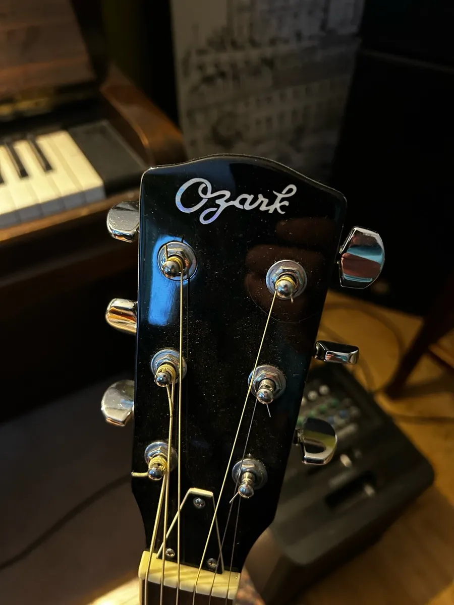 Ozark Resonator Guitar - Image 3