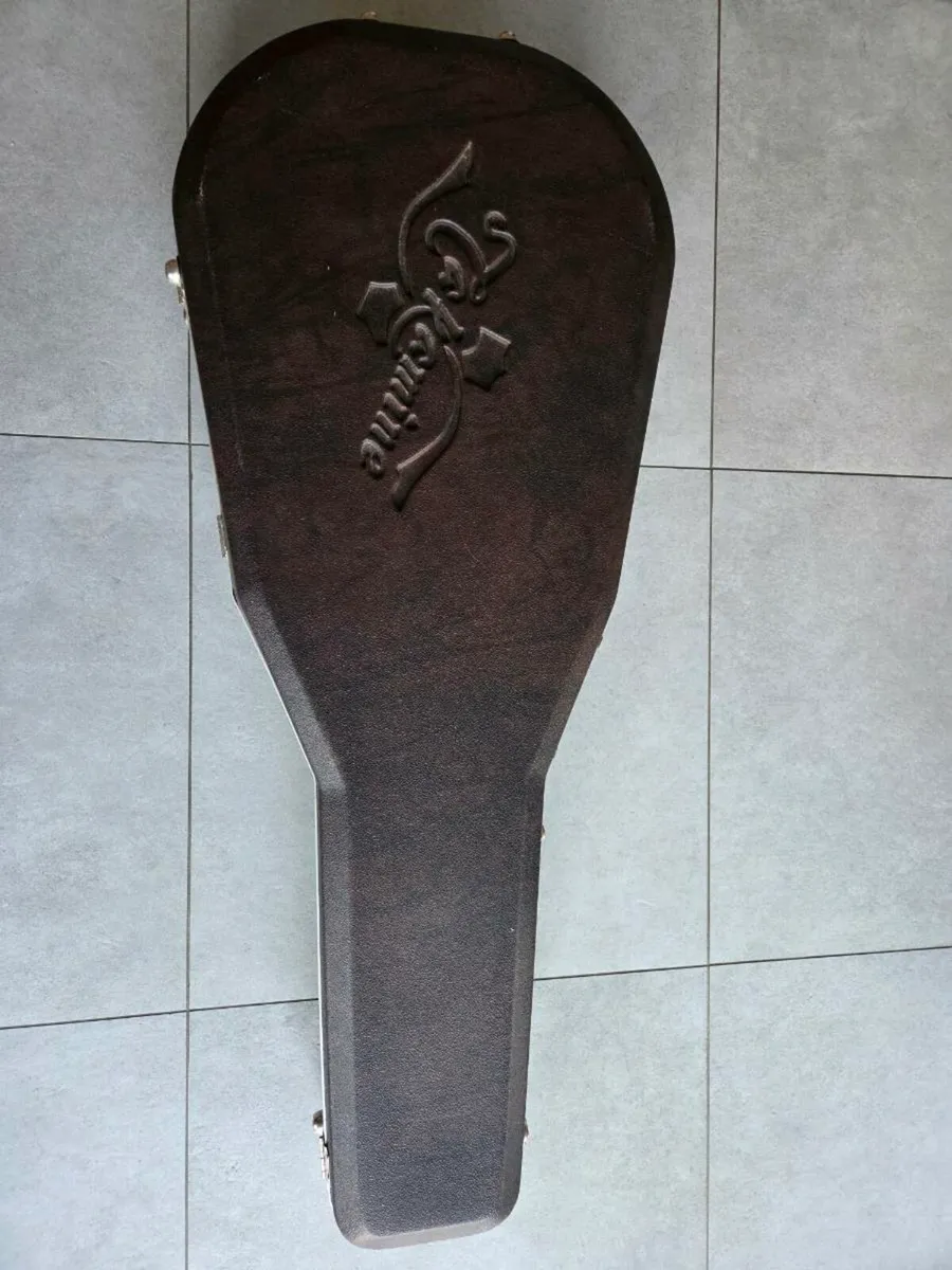 Takamine semi accoustic - Image 2