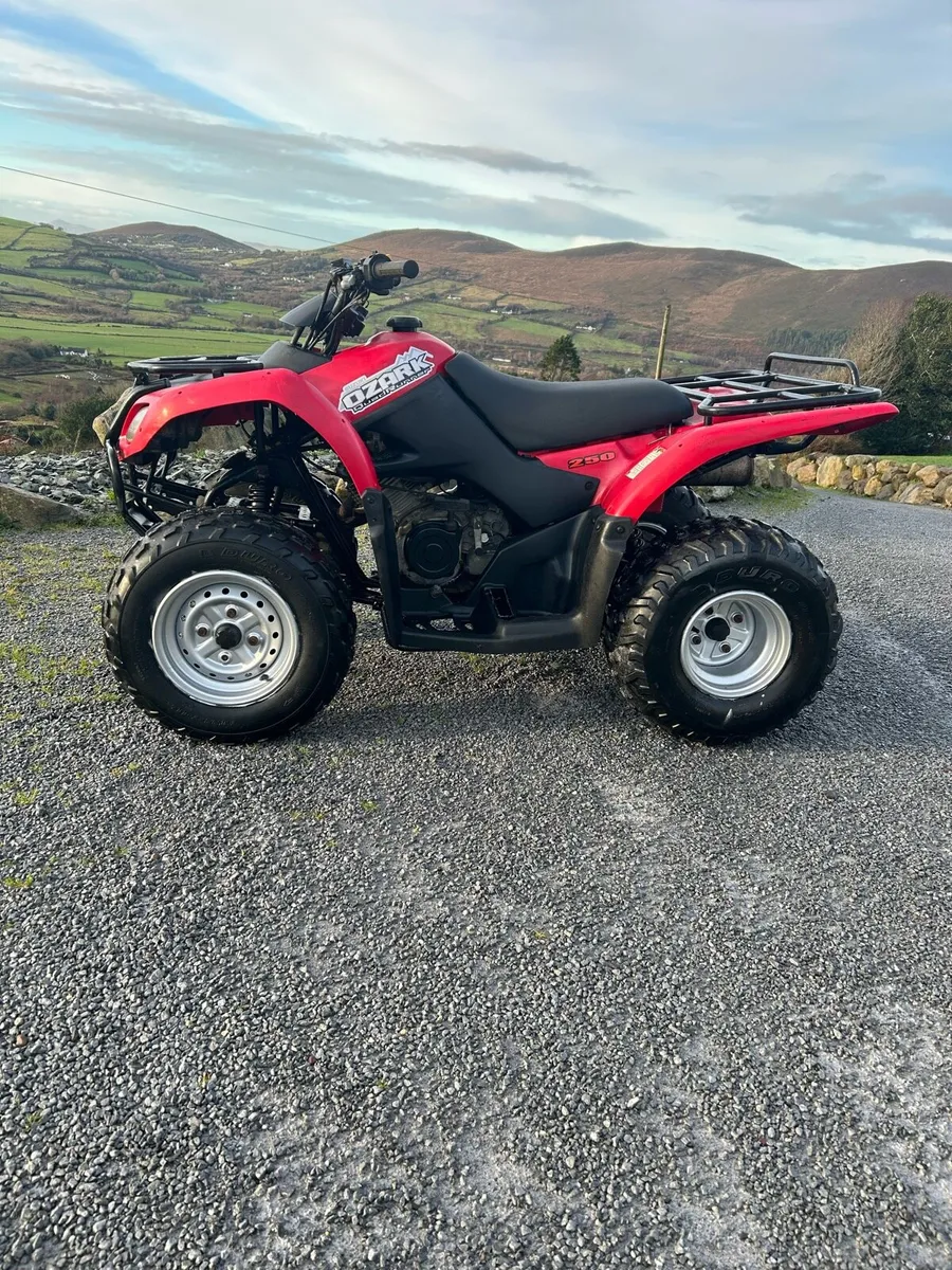 Quad Suzuki Ozark 250cc - Image 1