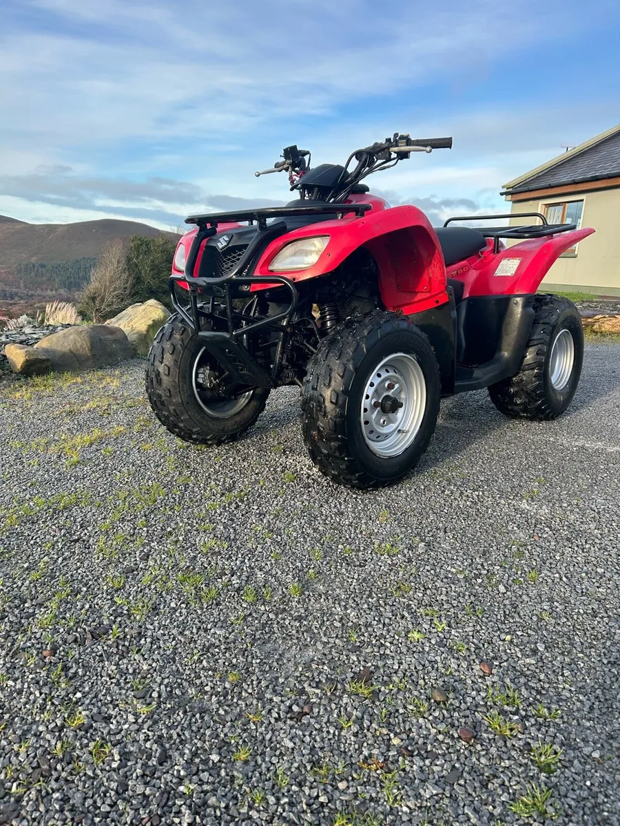 Quad Suzuki Ozark 250cc - Image 2
