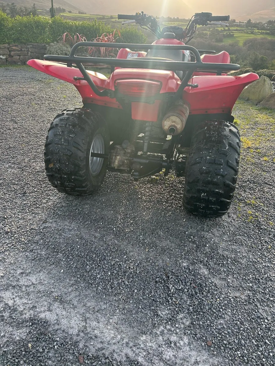 Quad Suzuki Ozark 250cc - Image 4