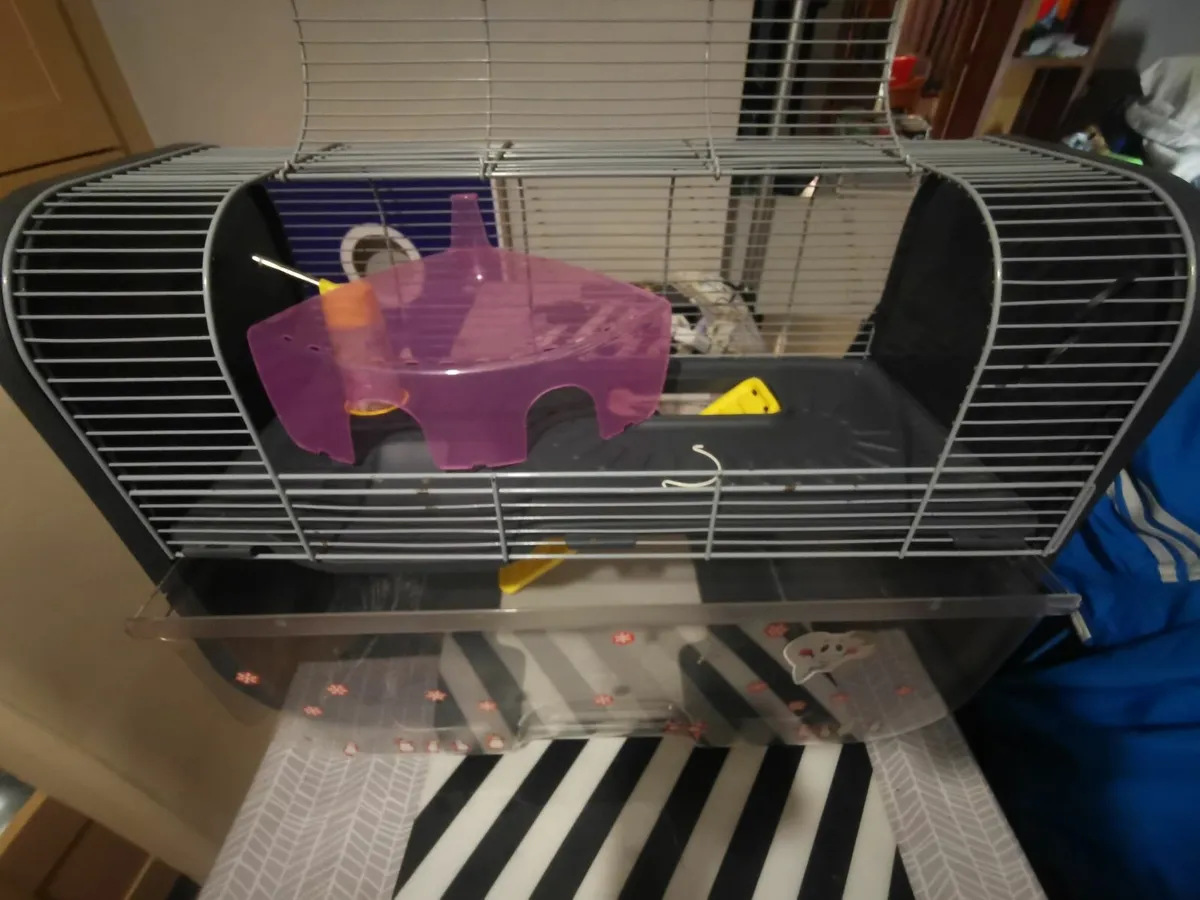 Geneva Luxury Hamster cage with accessories set - Image 4