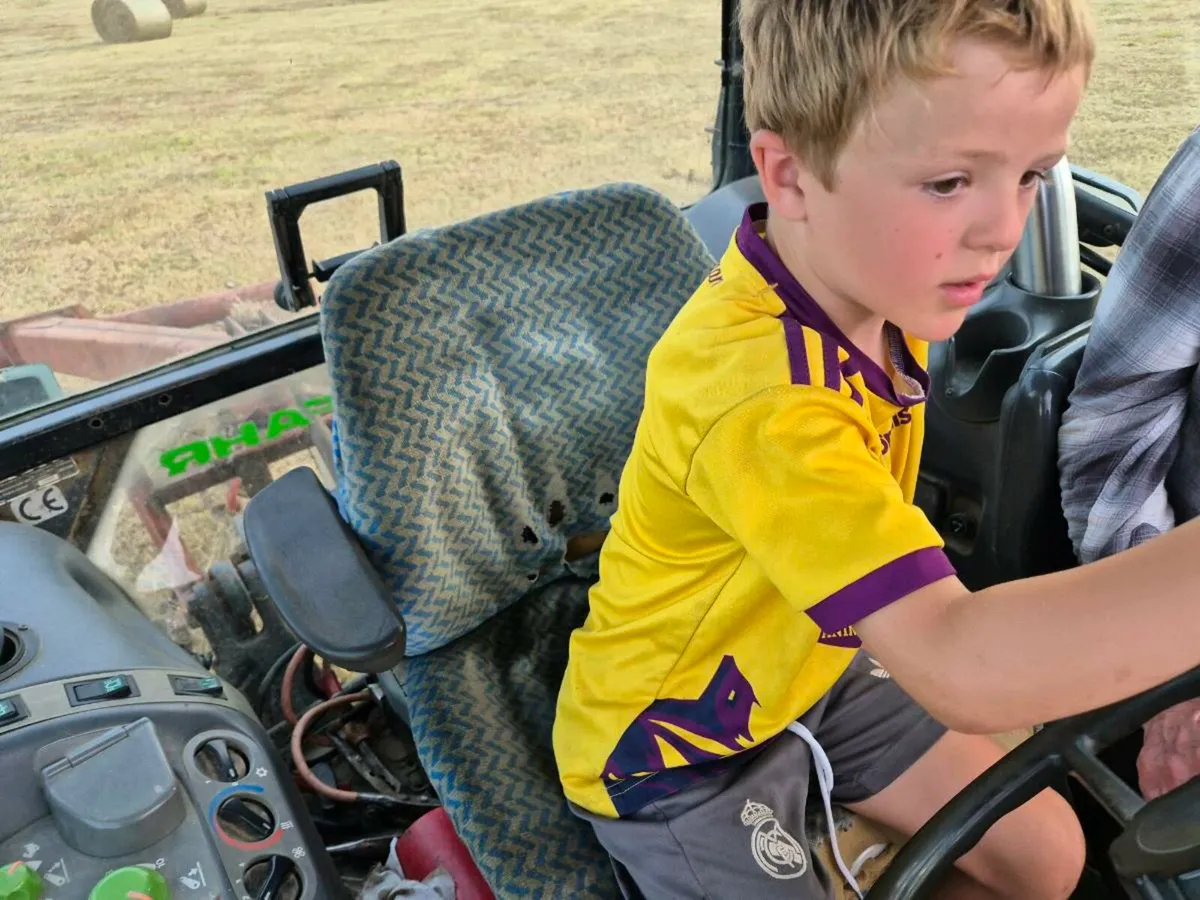 Hay and straw - Image 4