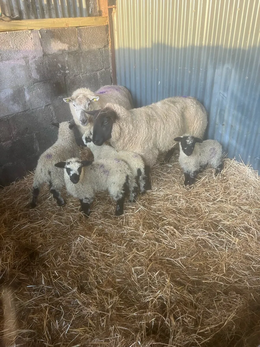 😍2 serious unique outfits 😍 - Image 1