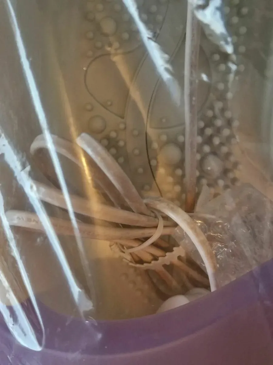 NEW IN BOX Morphy Richards Essentials Foot Spa - Image 3