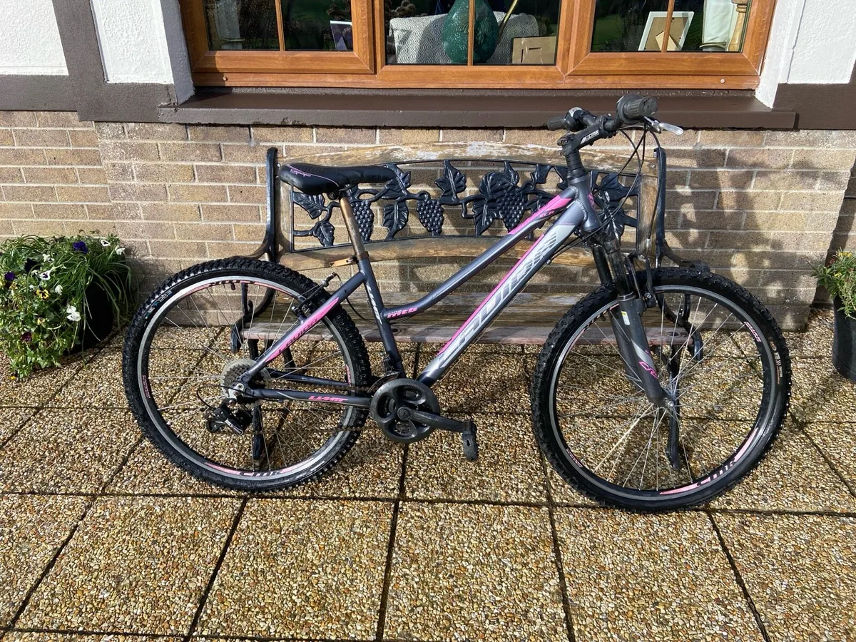 Mountain. Bike - Image 1