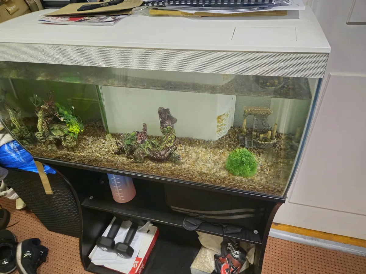 Fish tanks - Image 1