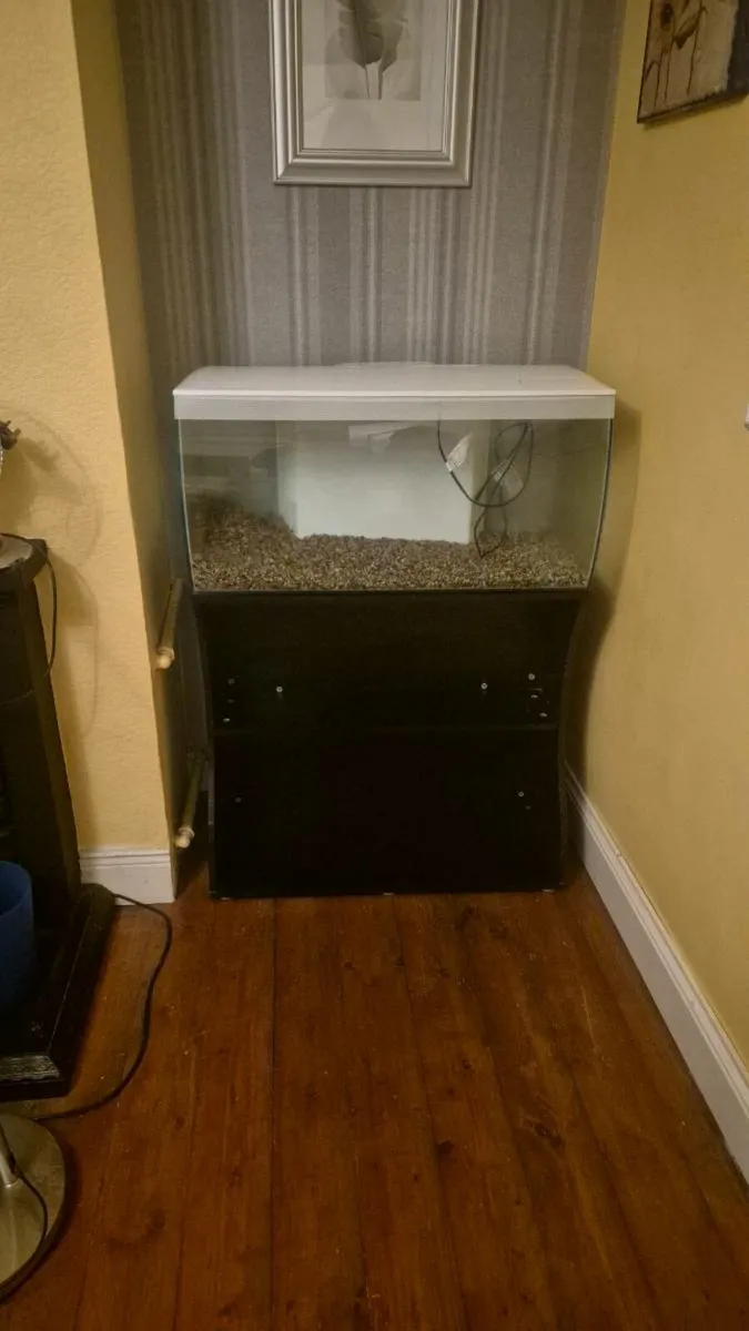 Fish tanks - Image 2