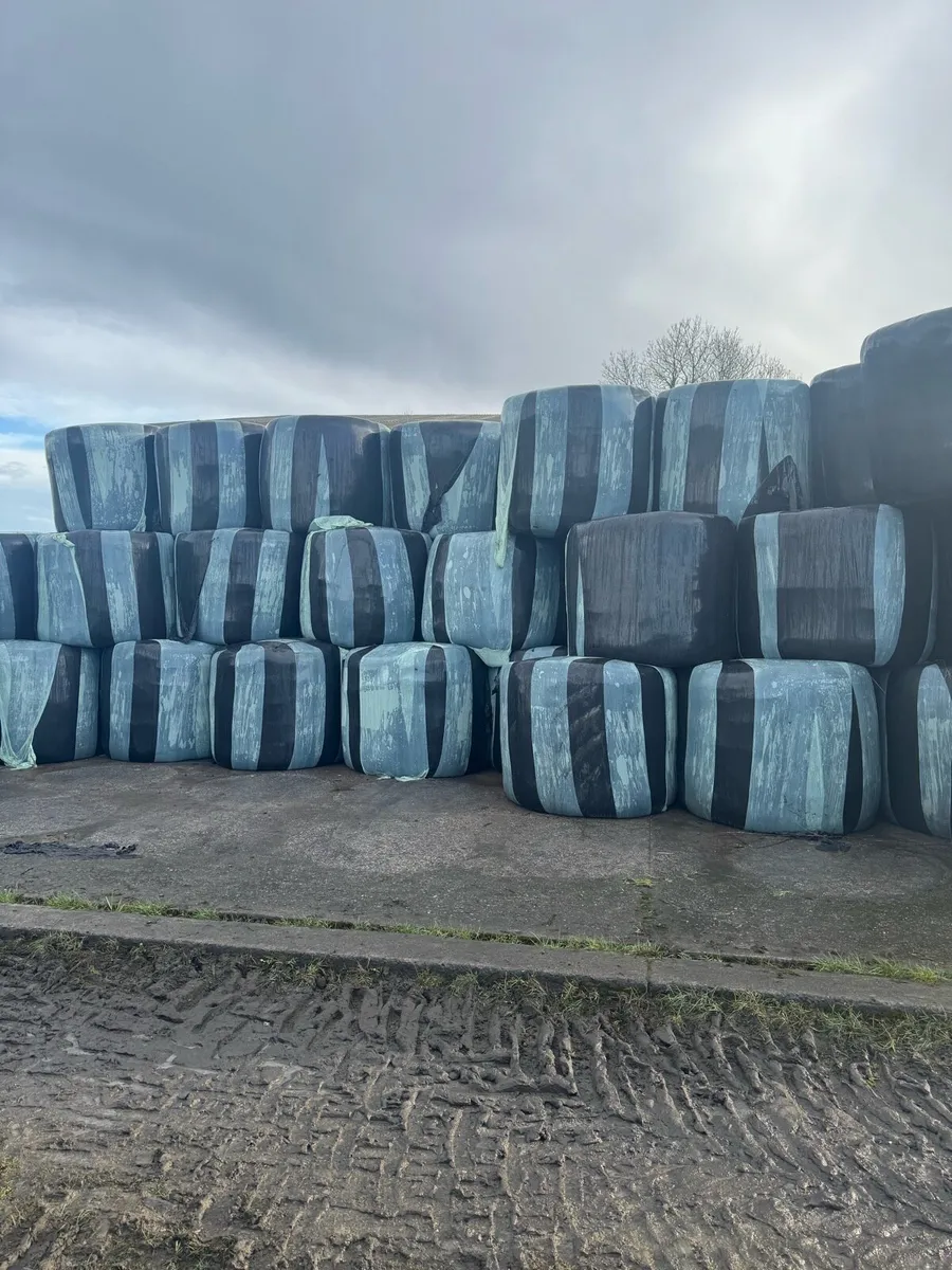 Silage & Haylege - Image 1