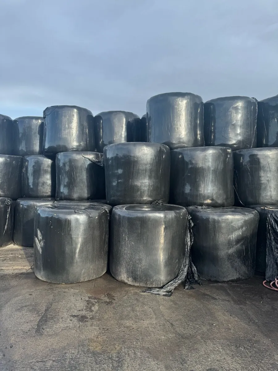 Silage & Haylege - Image 2