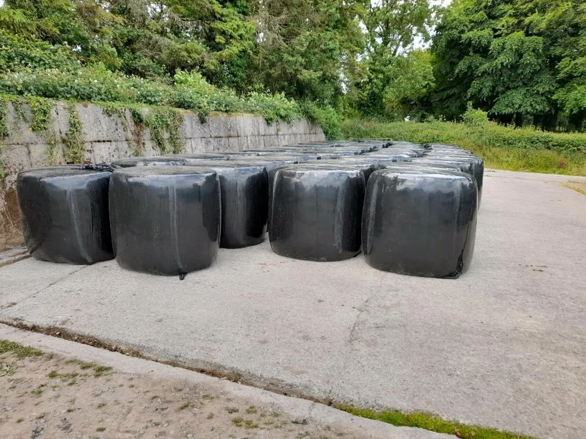 Baled silage - Image 1