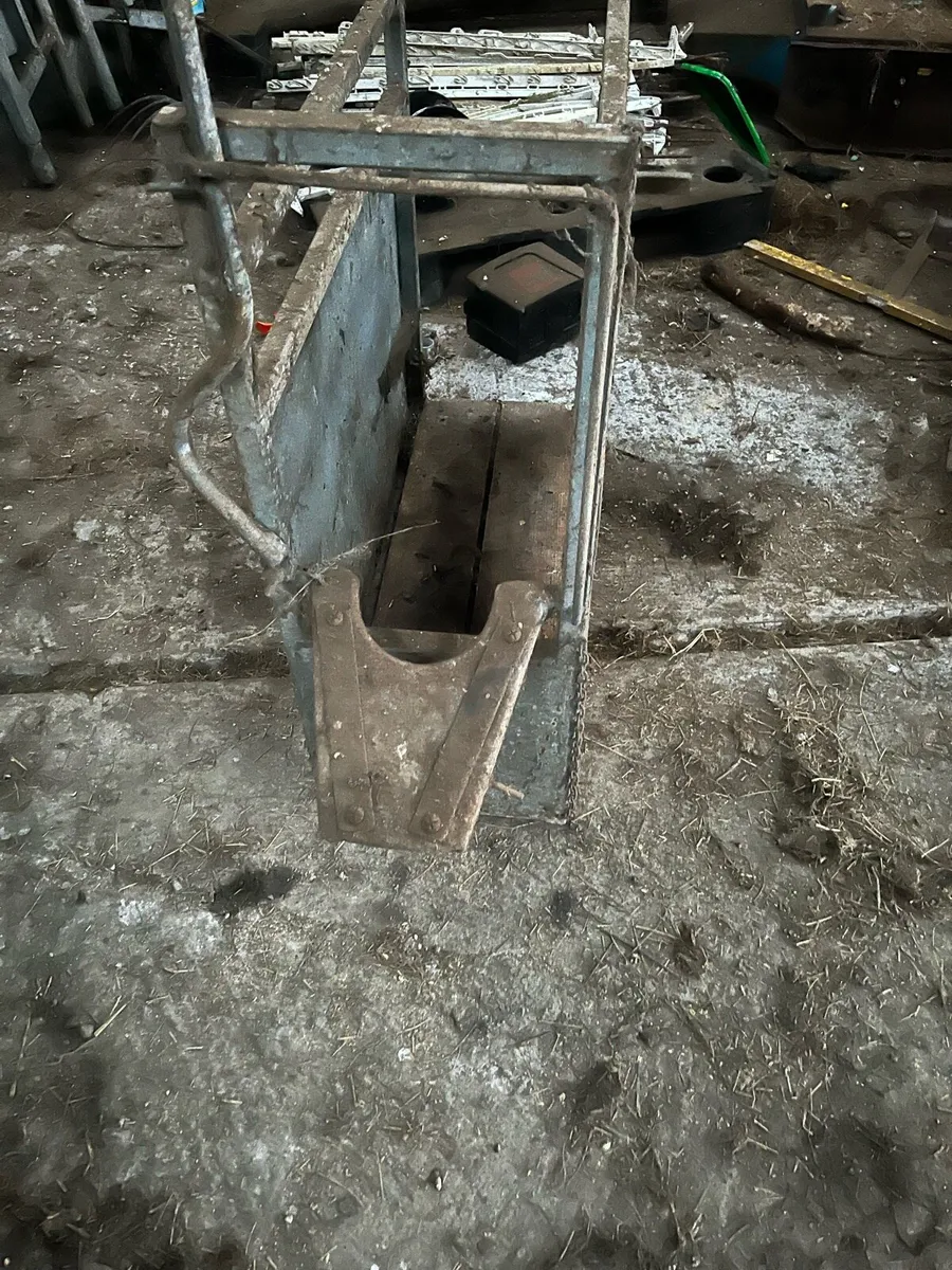 Calf dehorning box - Image 1