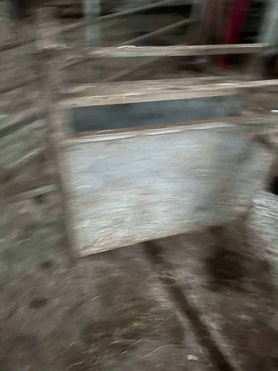 Calf dehorning box - Image 4