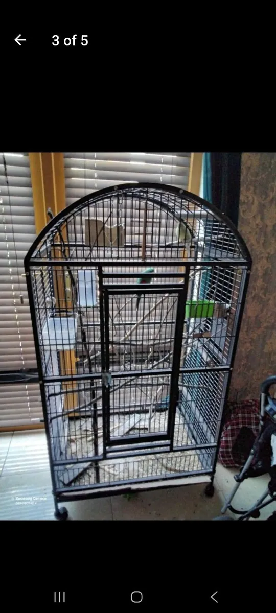 Bird cage