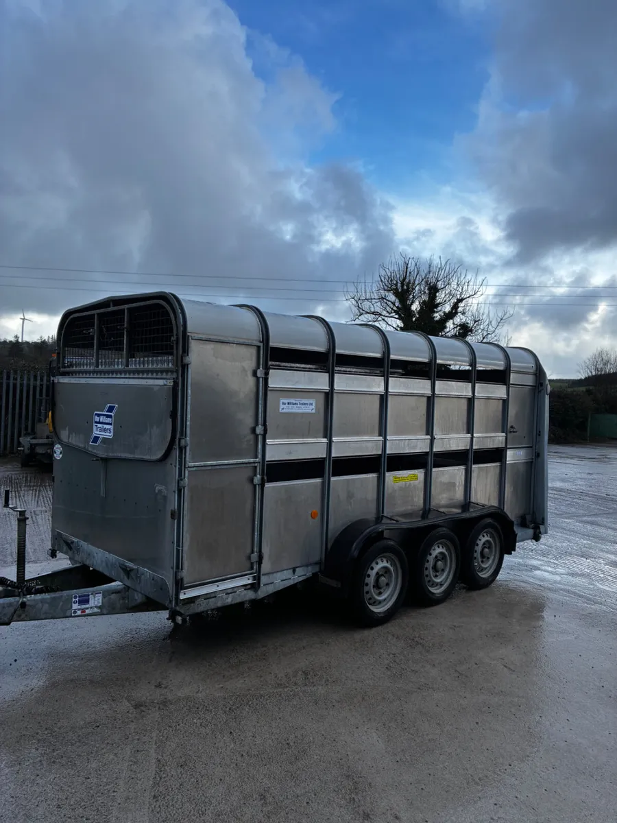 14ft ifor Williams livestock with decks - Image 2