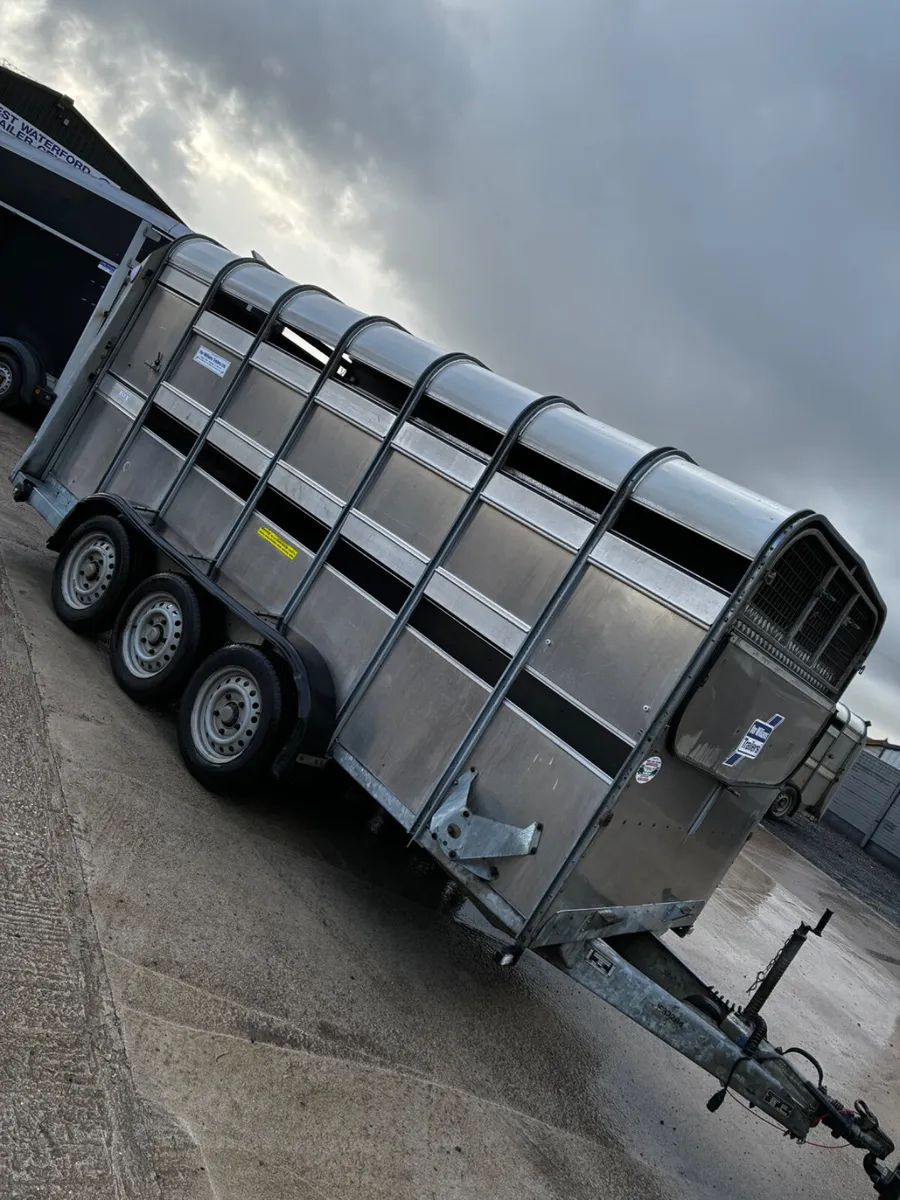 14ft ifor Williams livestock with decks - Image 1