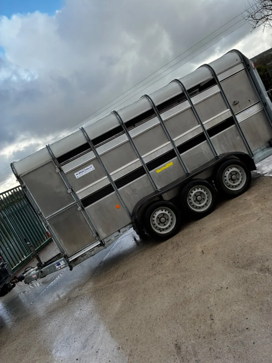 14ft ifor Williams livestock with decks - Image 3