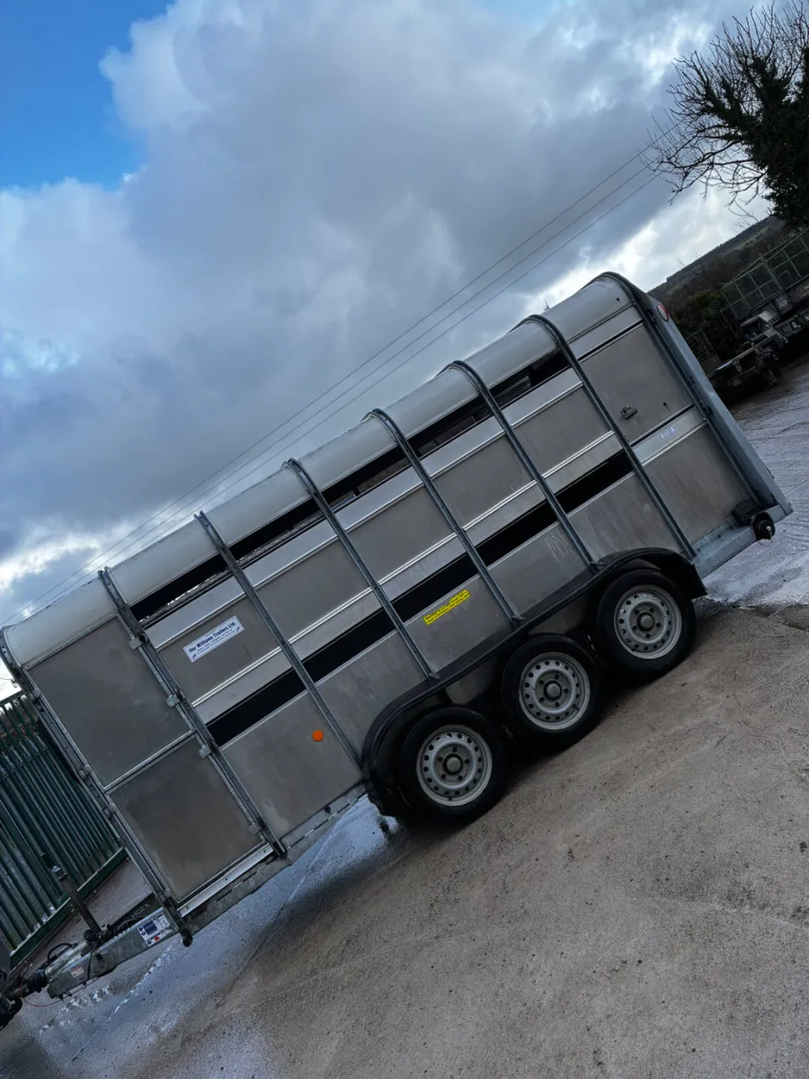 14ft ifor Williams livestock with decks - Image 4