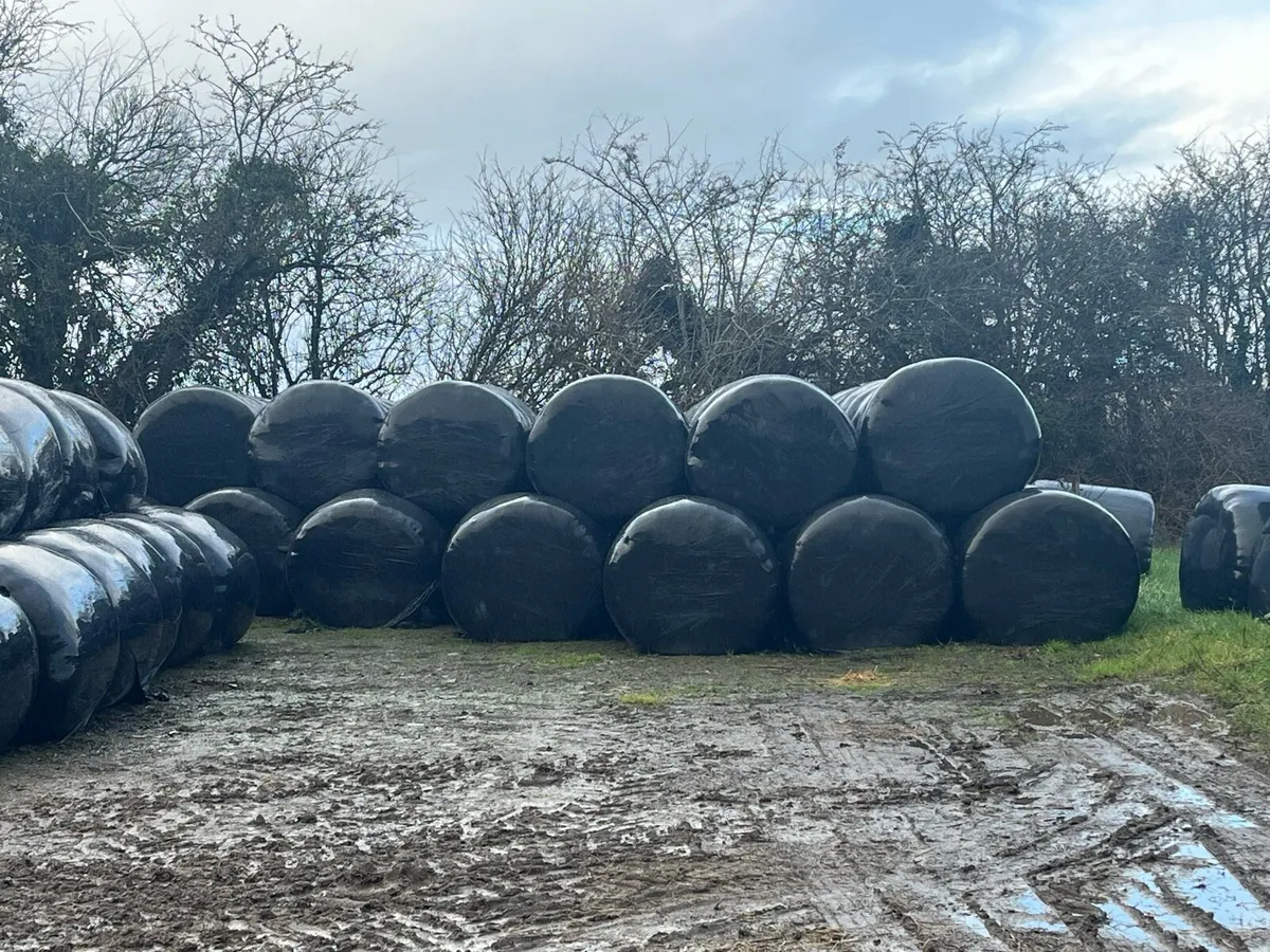 Silage bales - Image 2