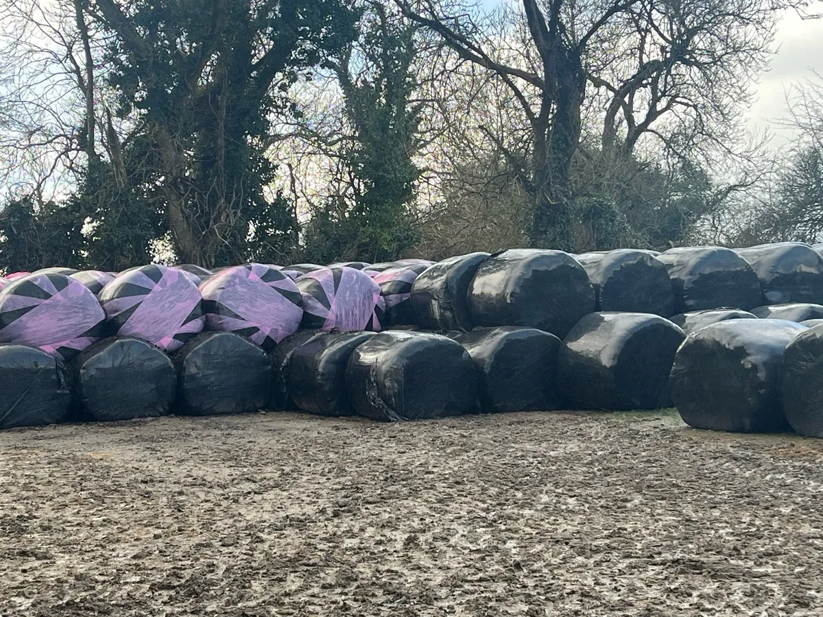 Silage bales - Image 3