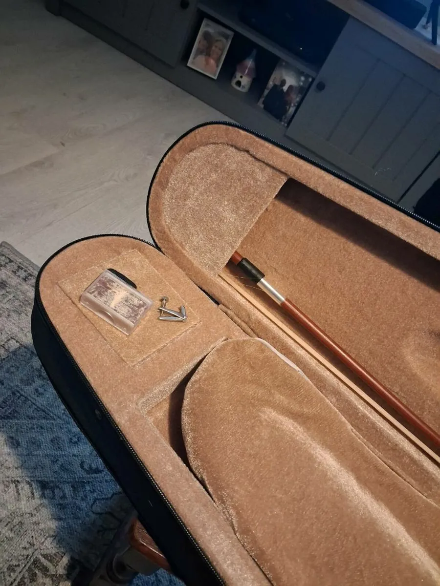 Concertina and violin - Image 3