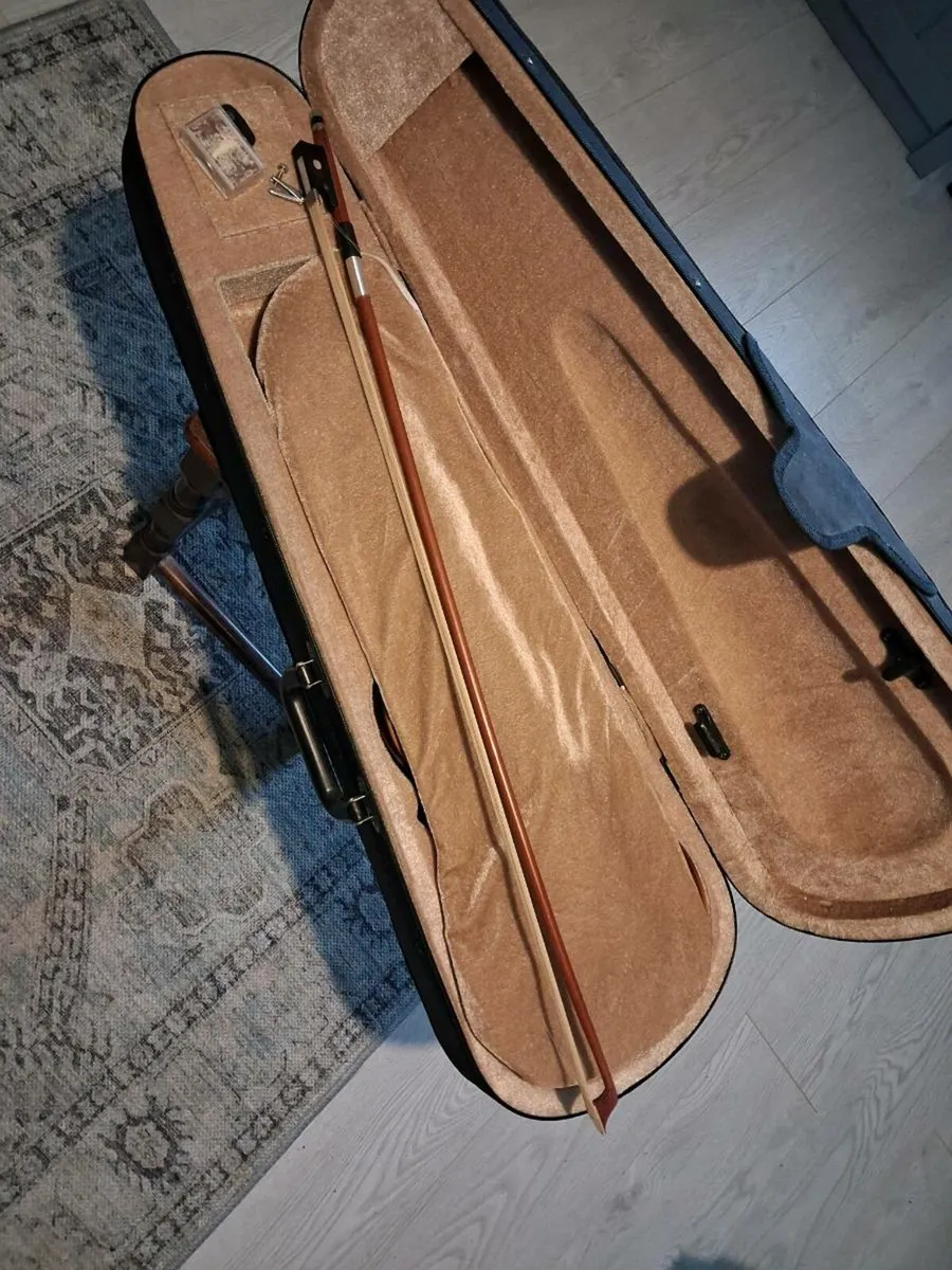 Concertina and violin - Image 4