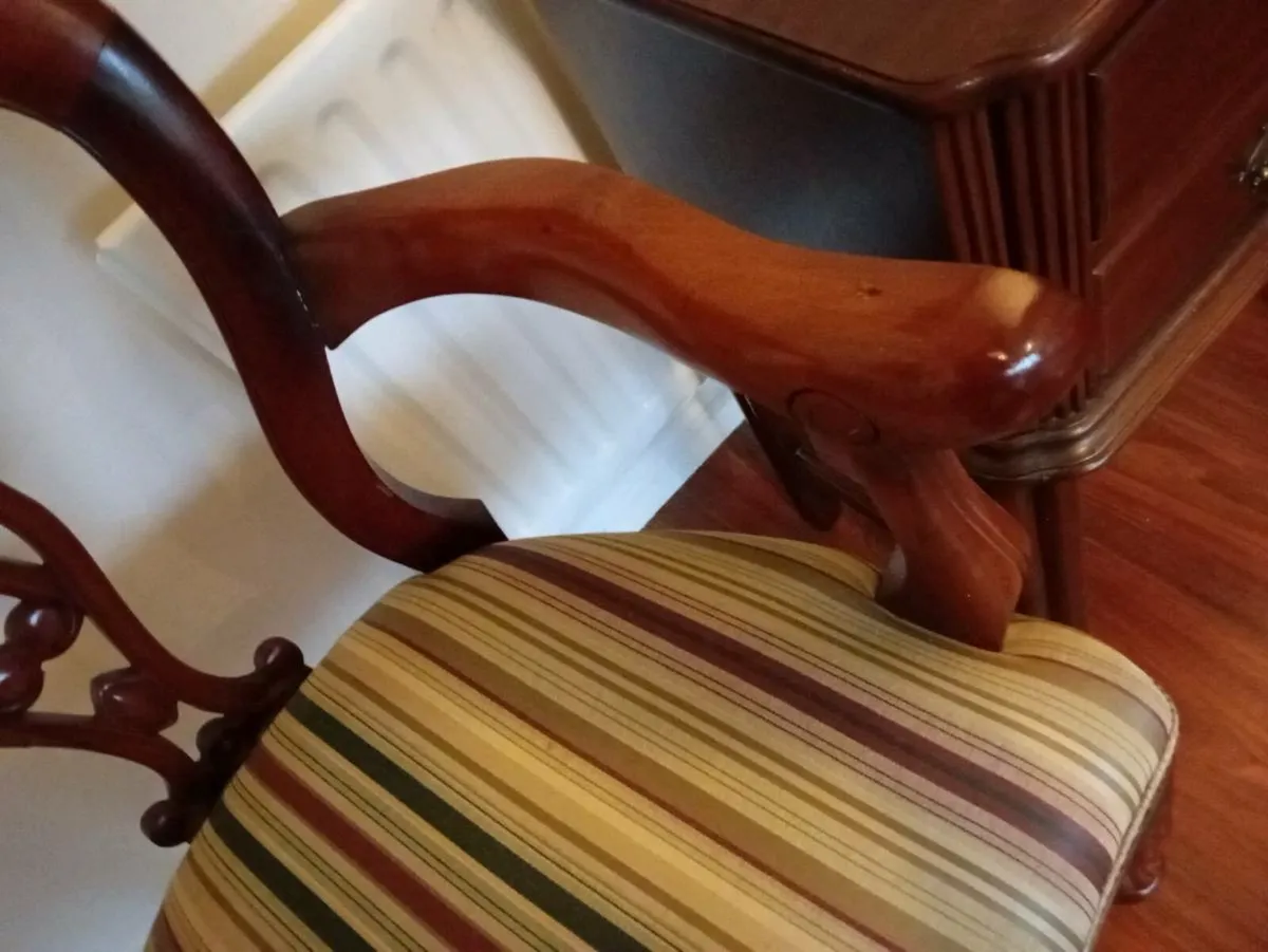 Pair of mahogany armchairs - Image 4
