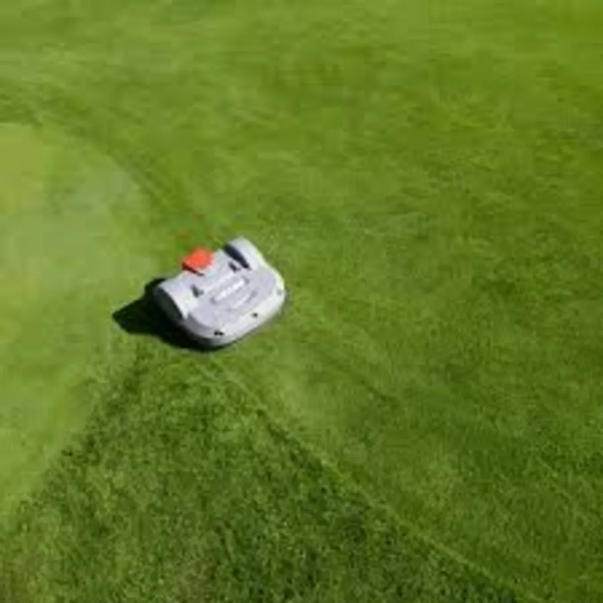 Echo Commercial Robotic Mowers - Image 4