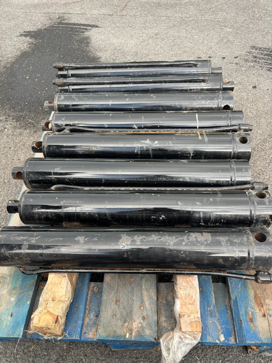 Various sized rams - Image 4