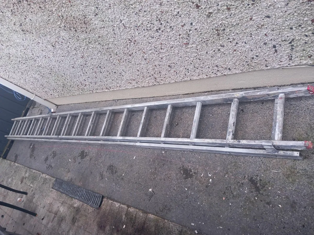 30ft double extension ladder - Image 2