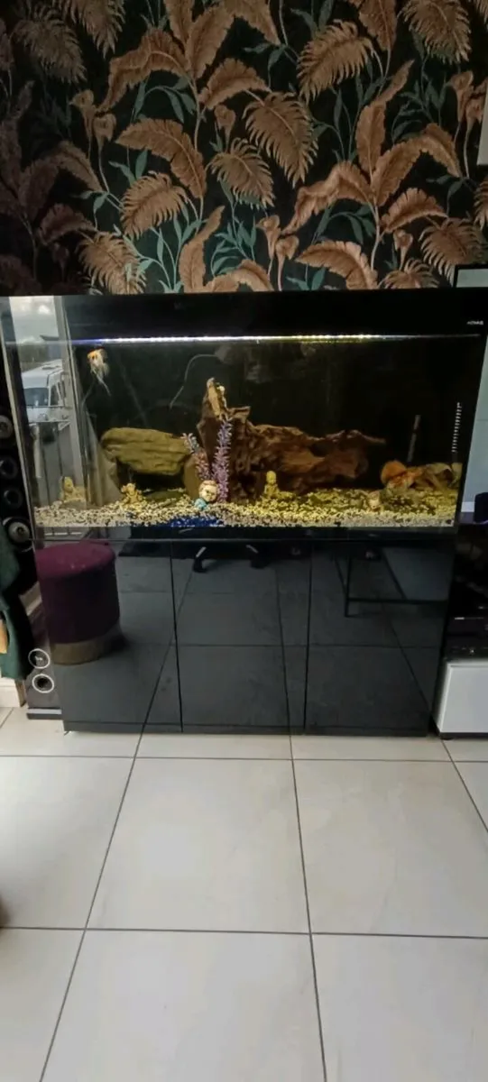 Premium 300L Aquarium Set - Image 1