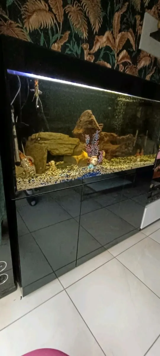 Premium 300L Aquarium Set - Image 2