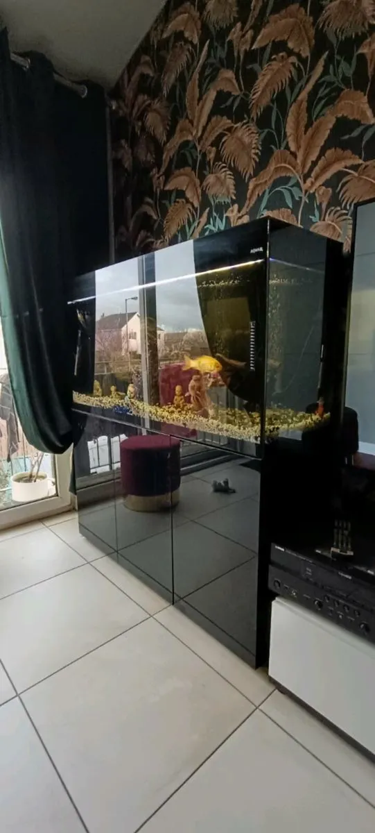Premium 300L Aquarium Set - Image 4