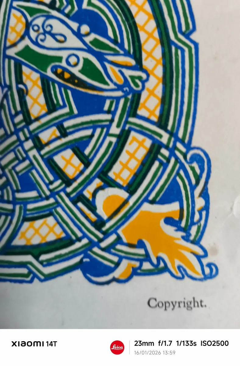 Vintage Irish Proclamation Poster - Image 2