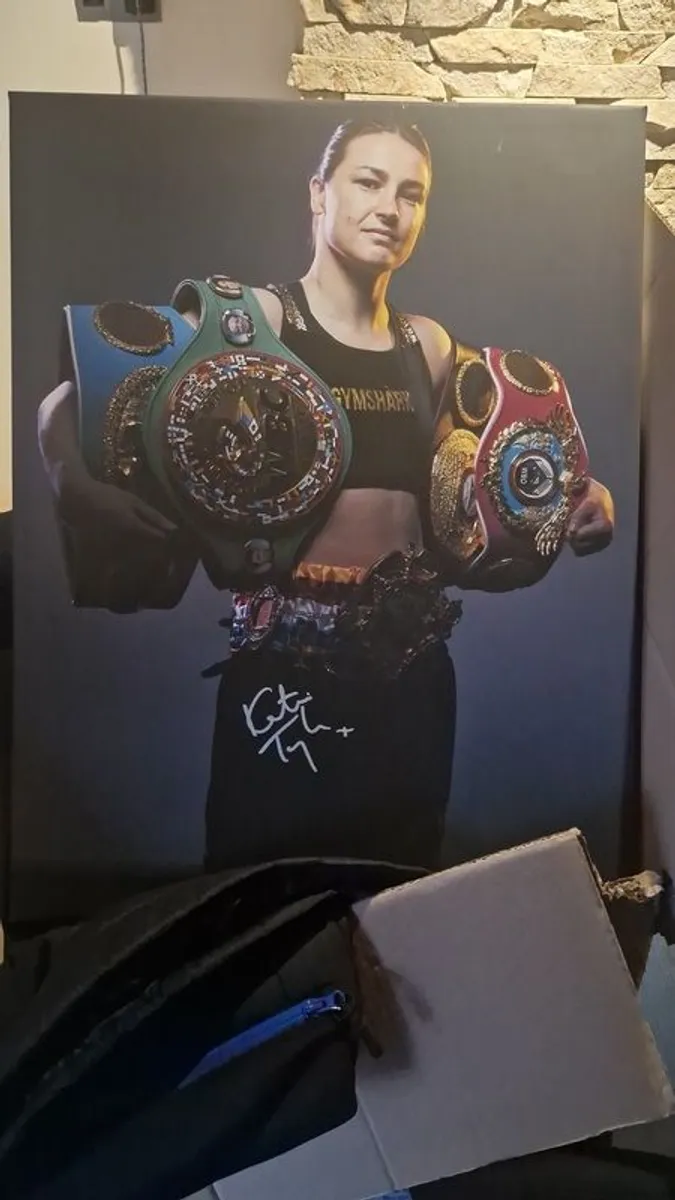 Authentic Signed Katie Taylor Canvases - Image 2