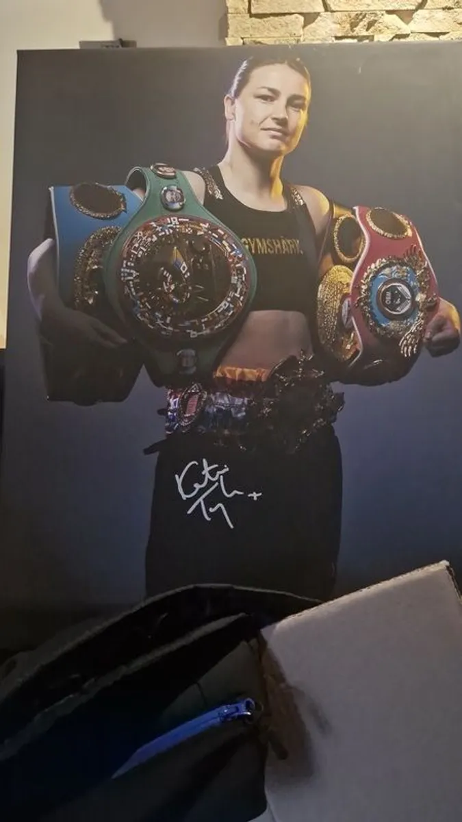 Authentic Signed Katie Taylor Canvases - Image 1