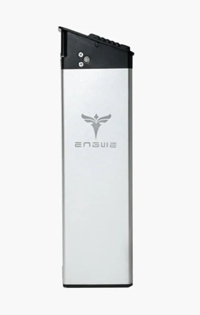 Engwe Ep pro 2 battery ebike battery