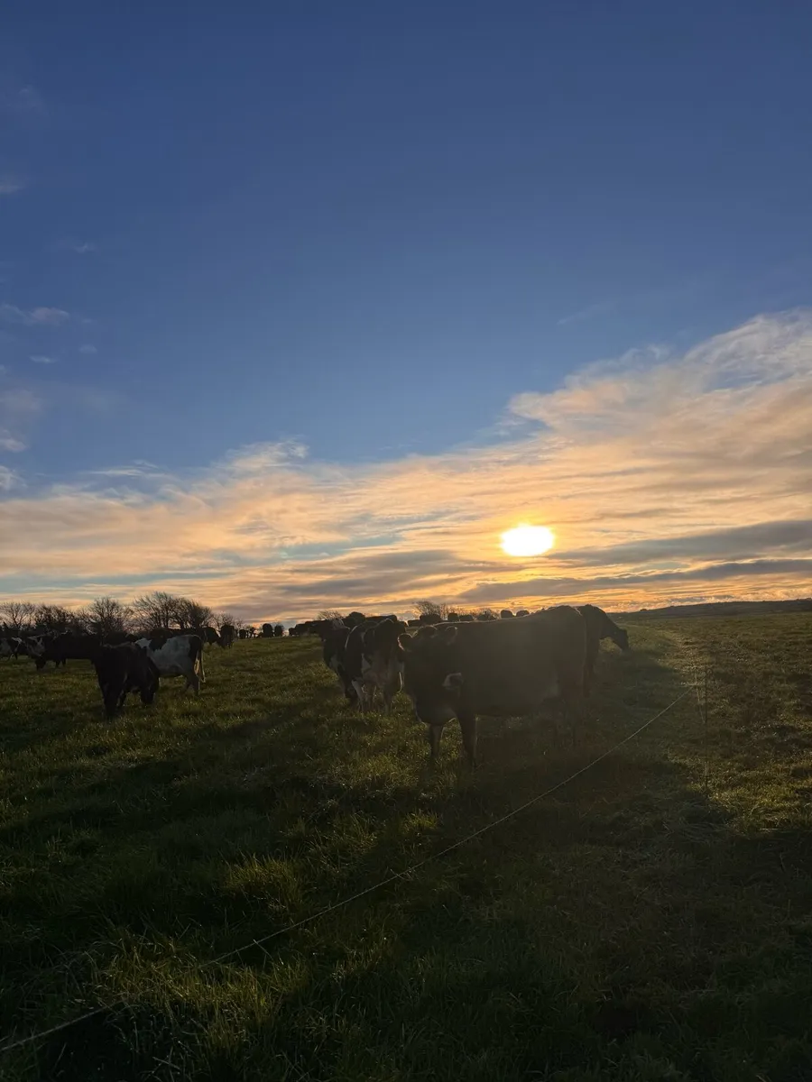 Seeking - Dairy farm partnership