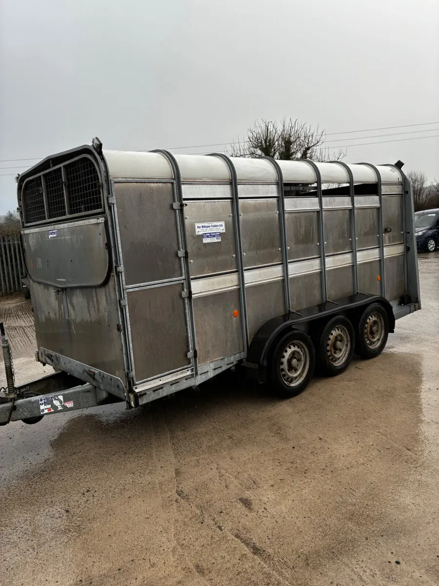 14ft Ifor Williams cattle trailer - Image 2