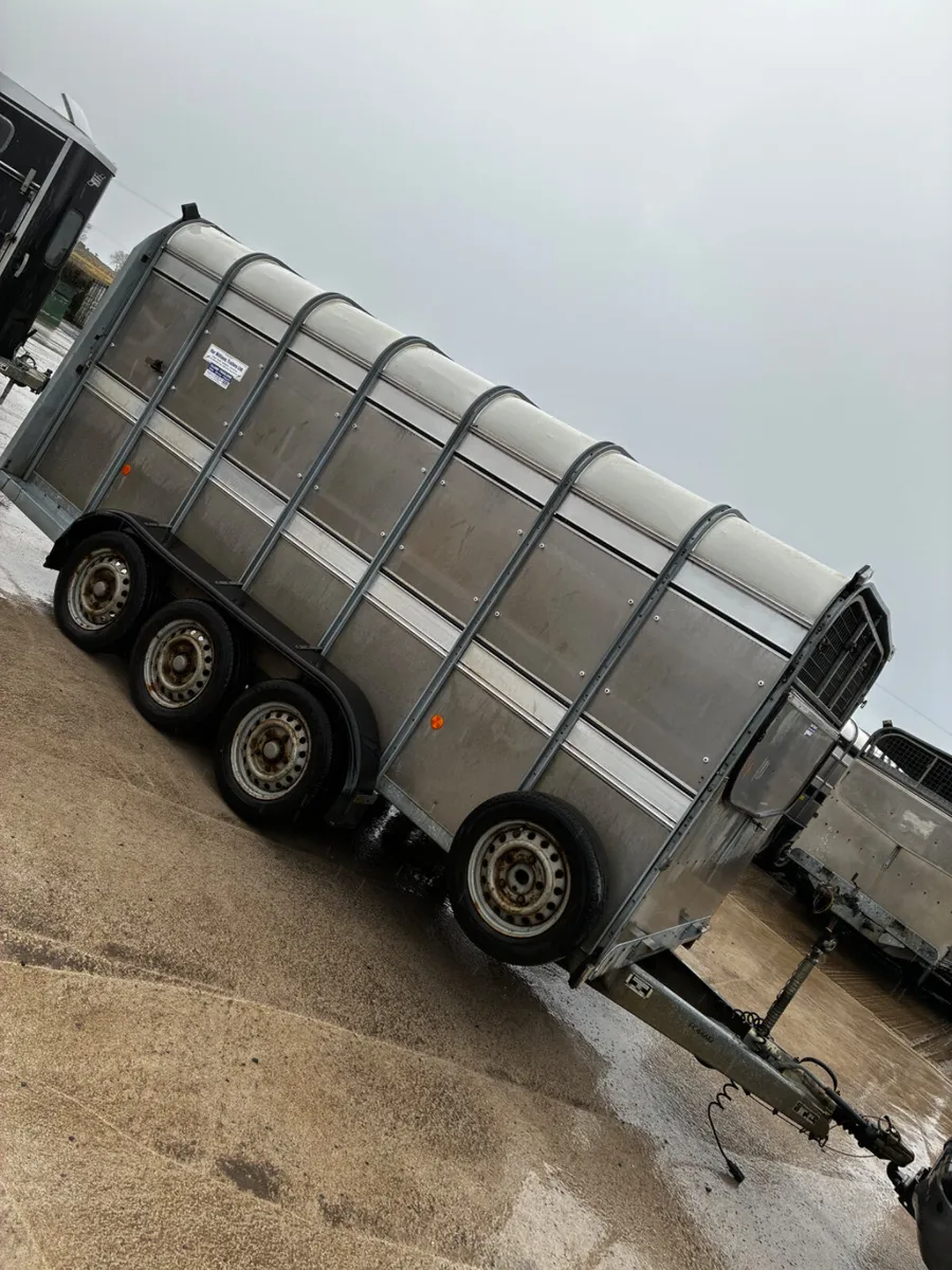 14ft Ifor Williams cattle trailer - Image 1