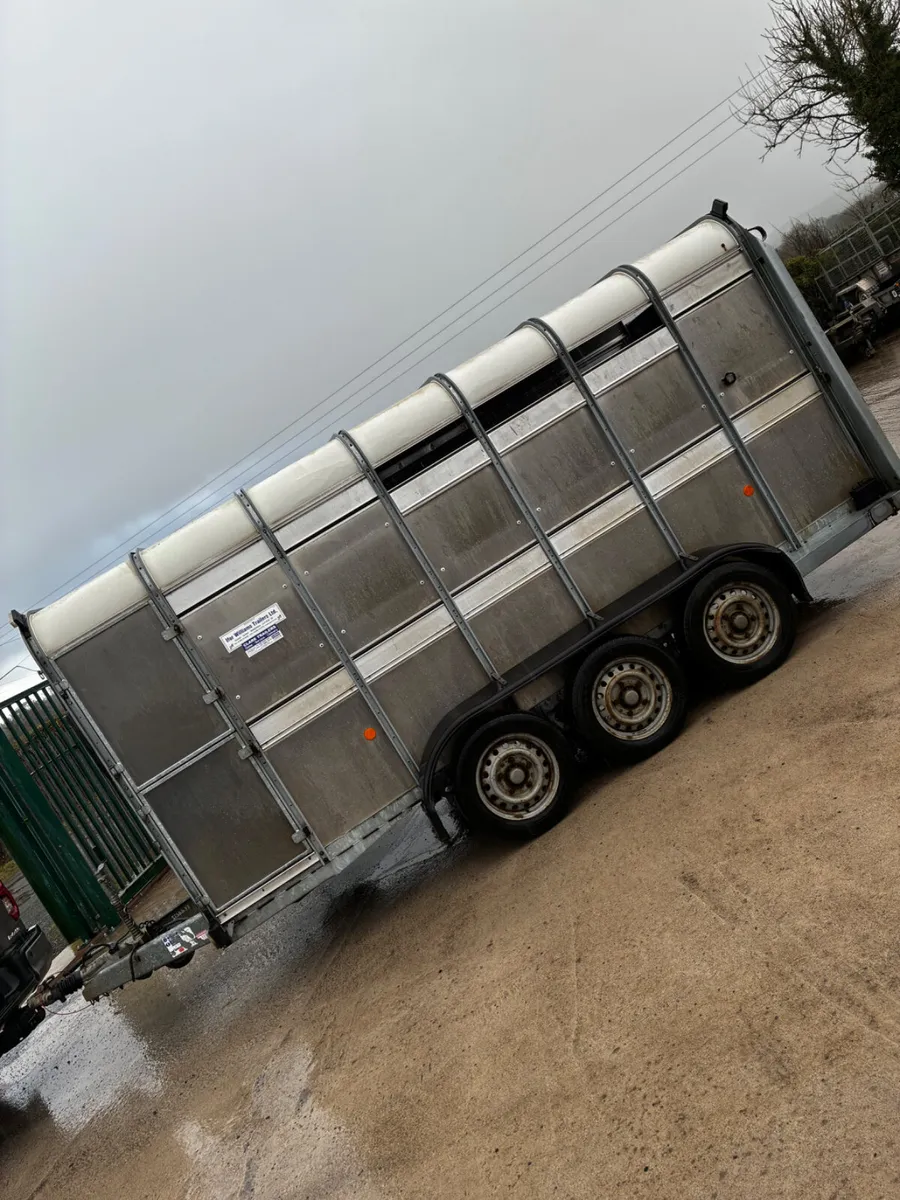 14ft Ifor Williams cattle trailer - Image 3
