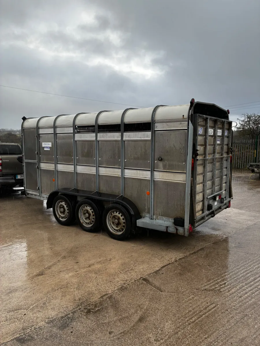 14ft Ifor Williams cattle trailer - Image 4