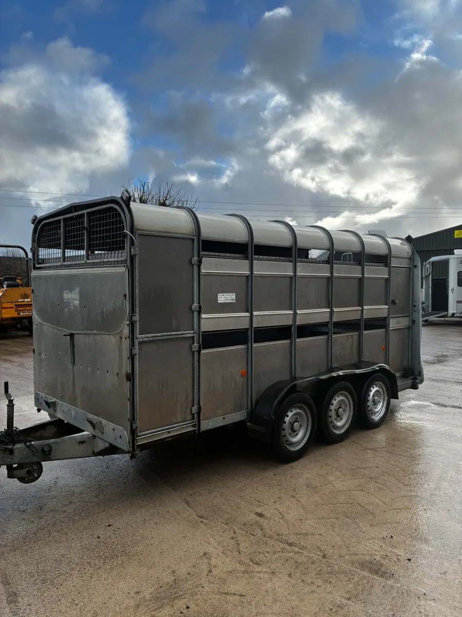 14ft ifor Williams livestock with decks - Image 1