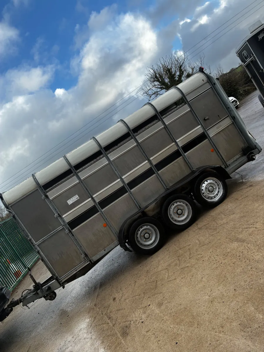 14ft ifor Williams livestock with decks - Image 3