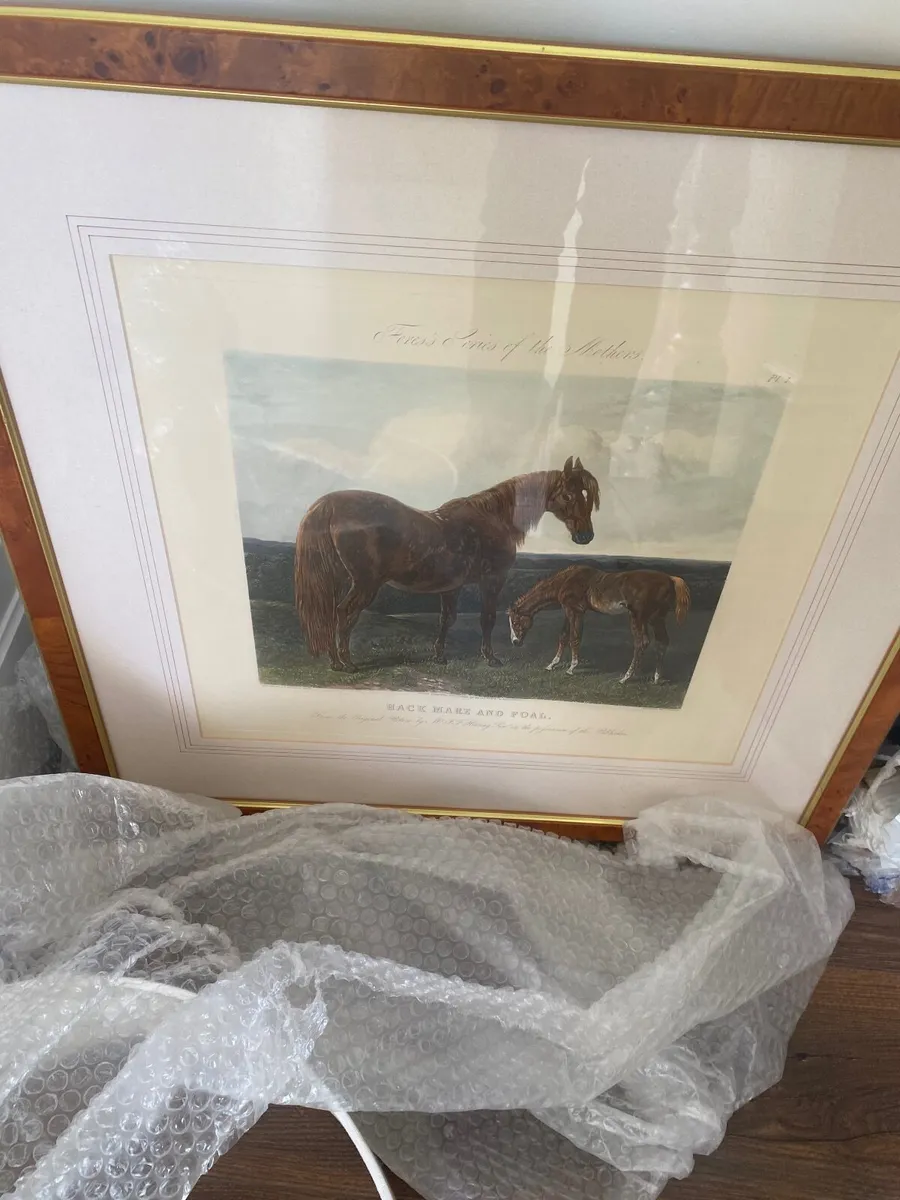 8 Antique pictures - Image 3