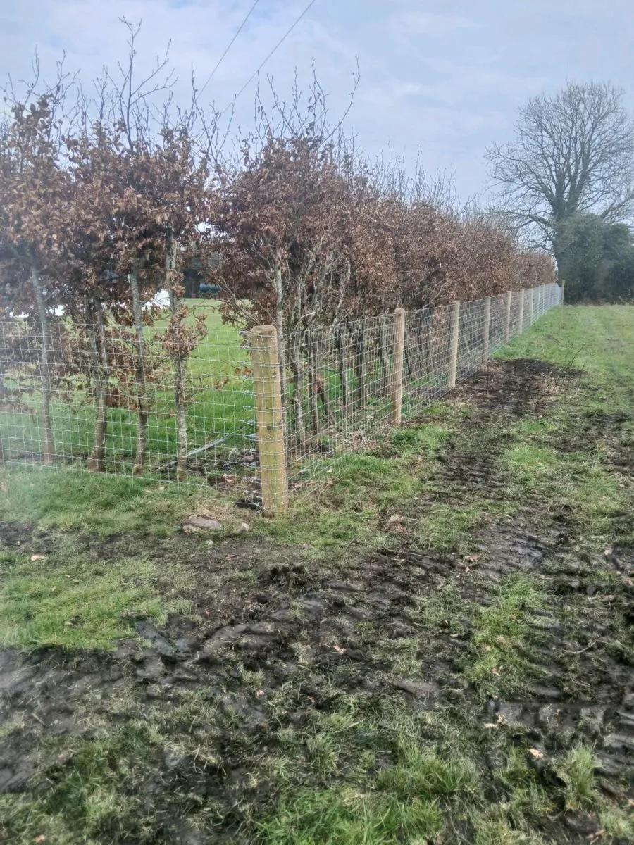 Horse wire fencing - Image 4