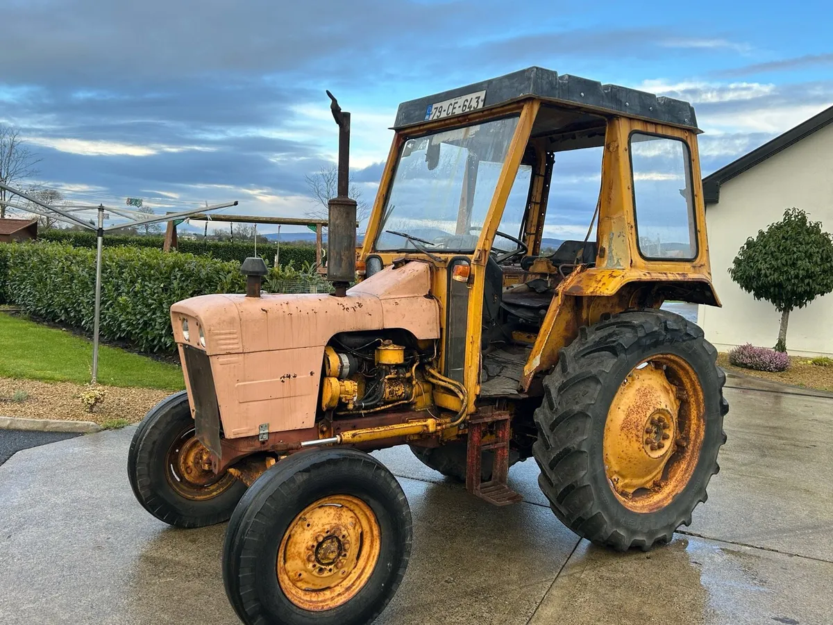 David brown - Image 3